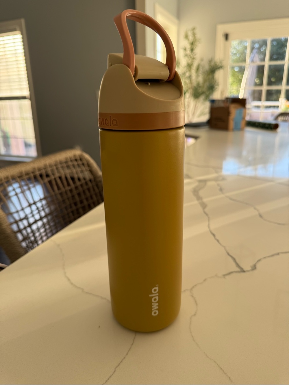 Owala 24oz FreeSip Stainless Steel Water Bottle